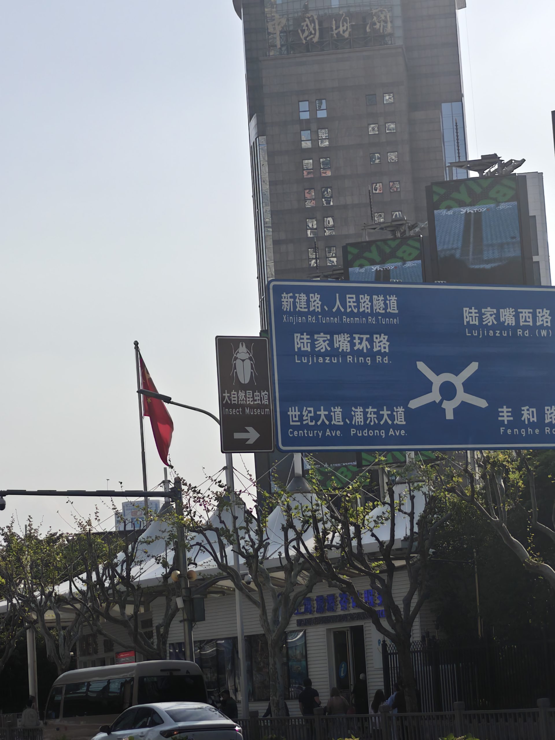 我不允许蟑螂代表所有昆虫😭